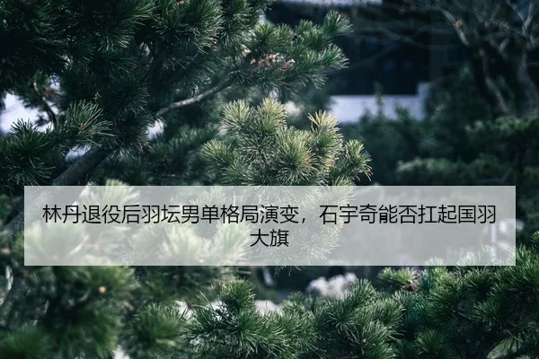 lin-dan-tui-yi-hou-yu-tan-nan-dan-ge-ju-yan-bian-shi-yu-qi-neng-fou-kang-qi-guo-yu-da-qi-2-478.jpg
